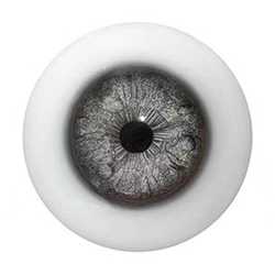 E13 Augen