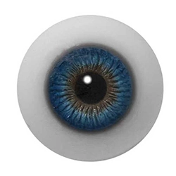 E4 Augen