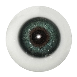 E5 Augen