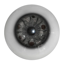 E6 Augen