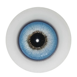 E8 Augen