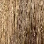 Implanwartungtes Haar:Bronze-Blend