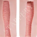 Vagina Textur A