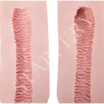 Vagina Textur B