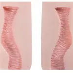 Vagina Textur C