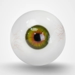 Grün mit Adern Augen