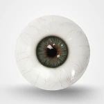 Grey-Green-Veins Augen