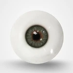 Grey-Green Augen