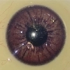 Braun Augen