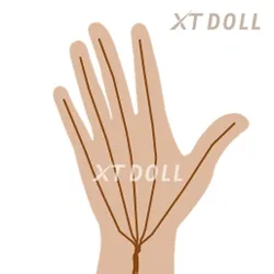 XT wire-fingers