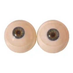 3 Augen