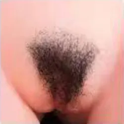 Schambehaarung Haben-1