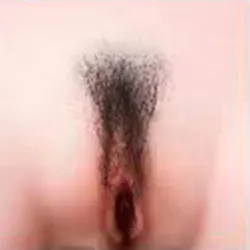 Schambehaarung Haben-3
