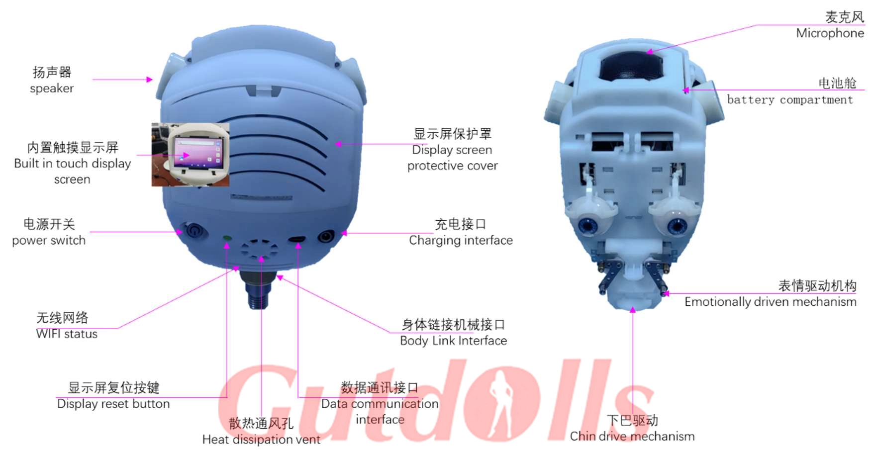 Schematische Darstellung