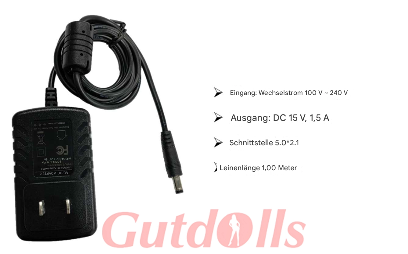 Diagramm des Ladegeräts