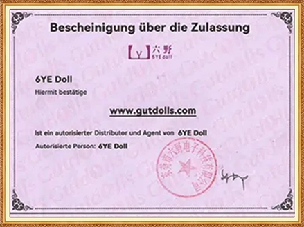 Vollmacht 6ye