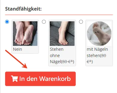 In den Warenkorb