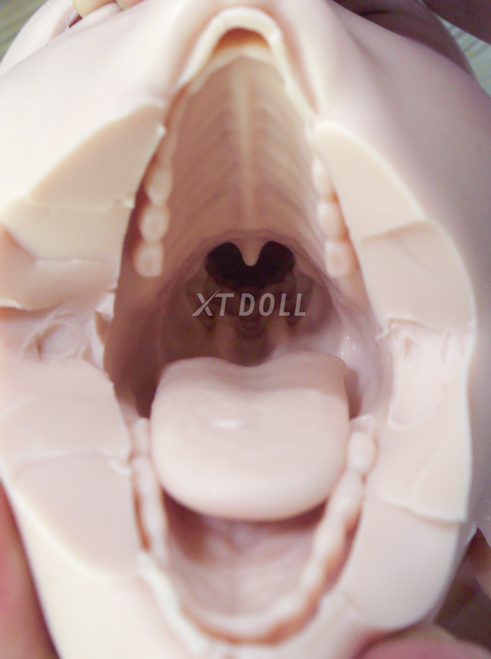 oral-3