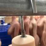 bolzenstruktur-4